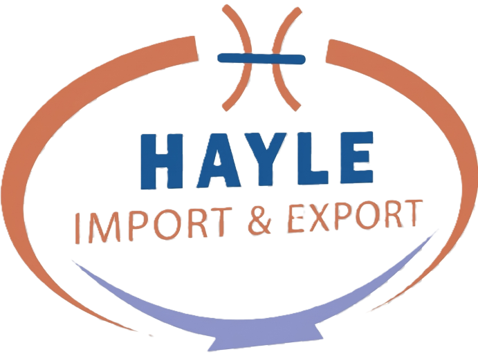 logo-V02-512
